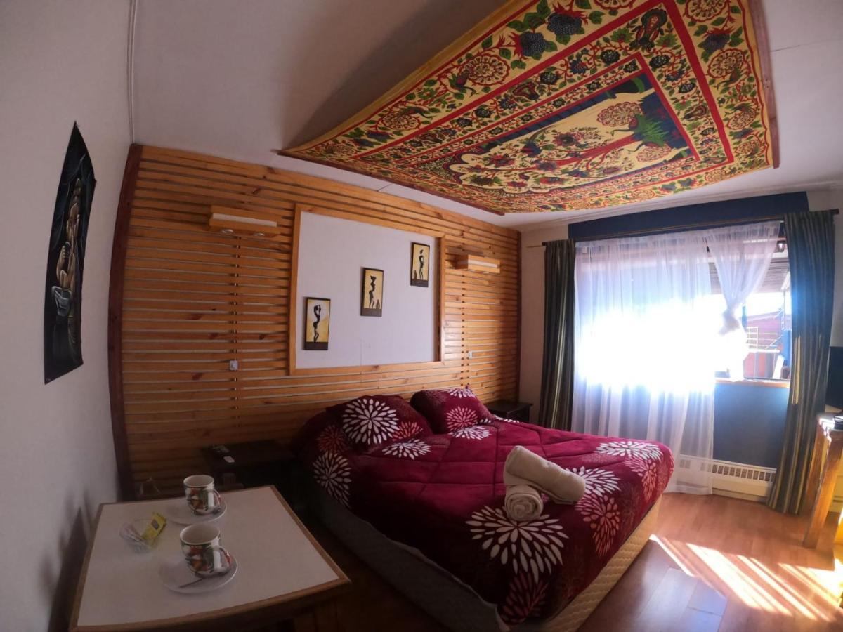 Kapai Hostel 瓦尔迪维亚 外观 照片