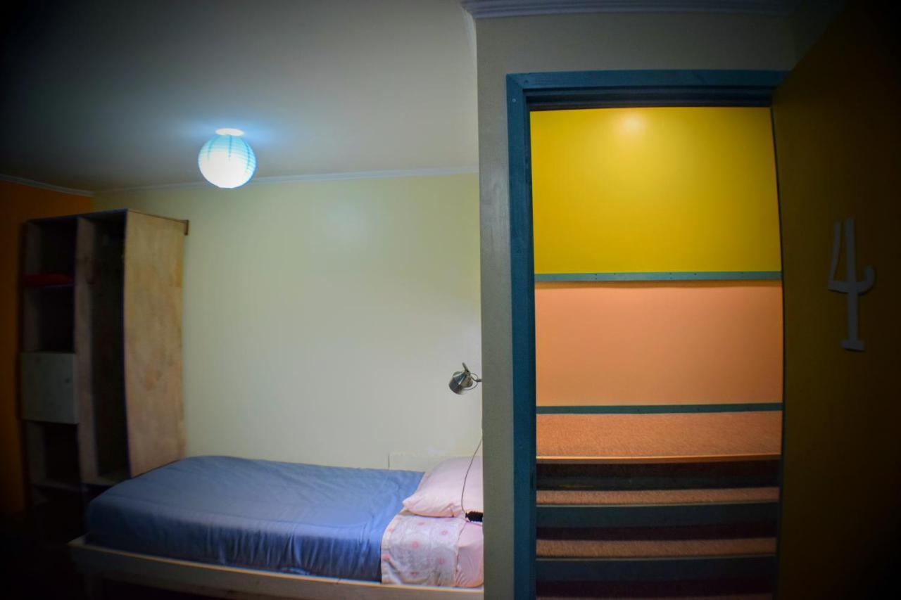 Kapai Hostel 瓦尔迪维亚 外观 照片